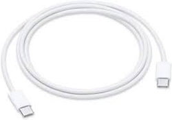 APPLE CAVO DI RICARICA INTRECCIATO USB-C (1 M) 10/22